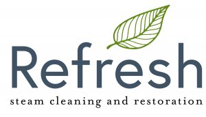 Refresh Steam Cleaning Transparent